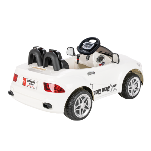 Pilsan Tery Bery 12 volt