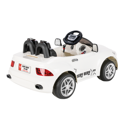 Pilsan Tery Bery 12 volt